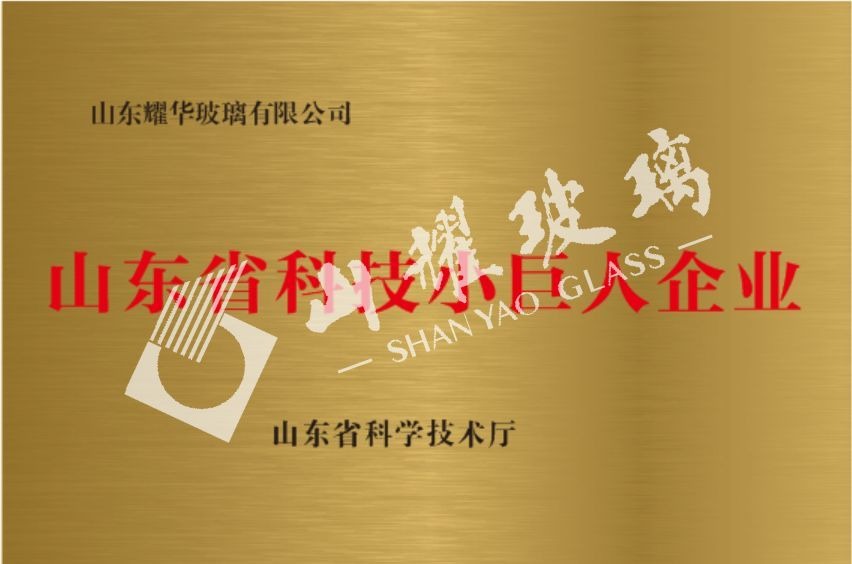 山(shān)东省科(kē)技(jì )小(xiǎo)巨人企业